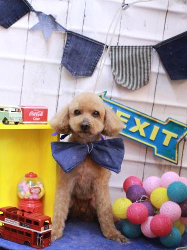 20230425かおるくん